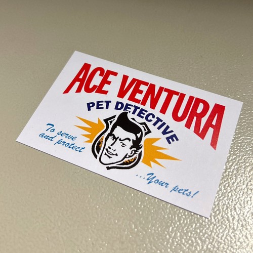 Ace ventura pet detective - ace,