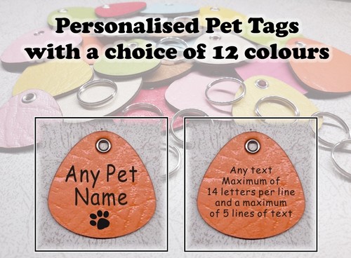 Personalised dog walking - dog,