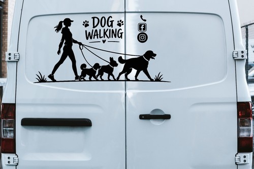 Professional dog walker - dog, car