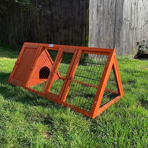 Bunny business pet - pet, supplies