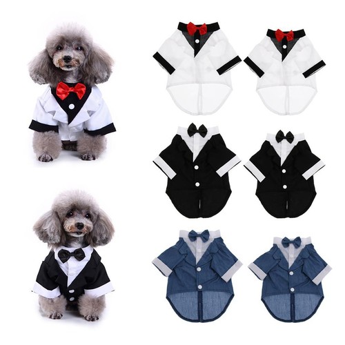 Pet business suit for - suit, dogs